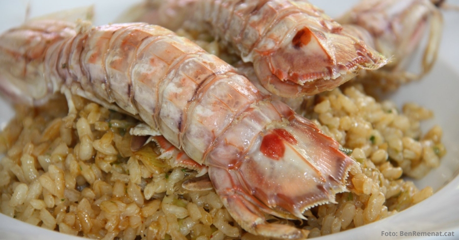 Finalitzen les Jornades Gastronmiques de la Galera